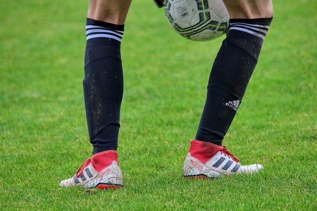 不仅需要在 不仅需要在