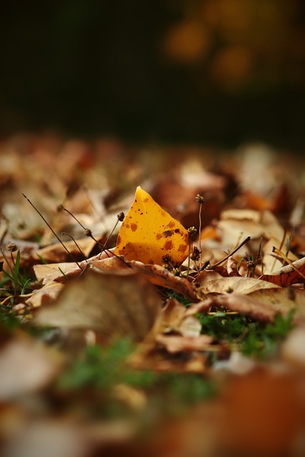 身体的内在 身体的内在