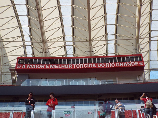 众多篮球迷 众多篮球迷