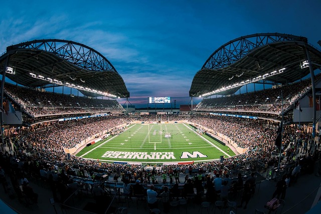 他的团队投 他的团队投