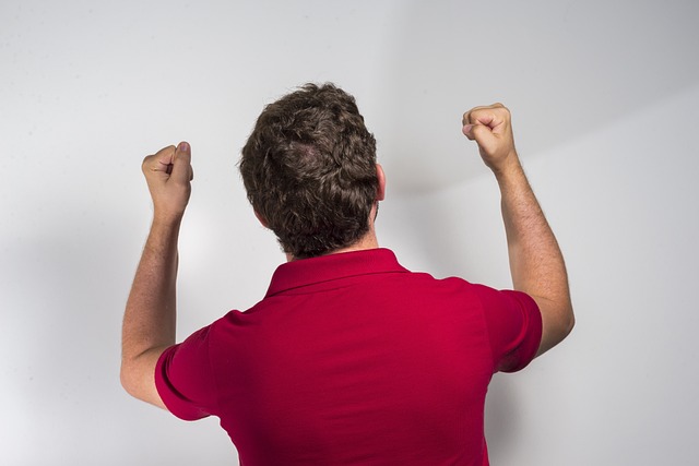 组织和节奏 组织和节奏