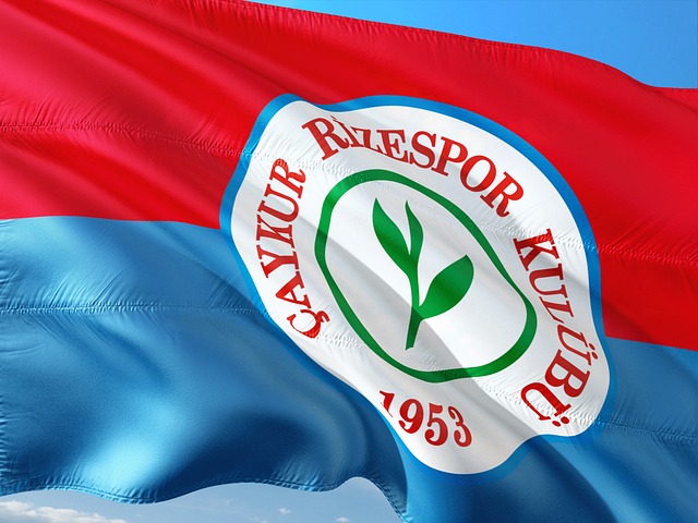 我们可以看 我们可以看